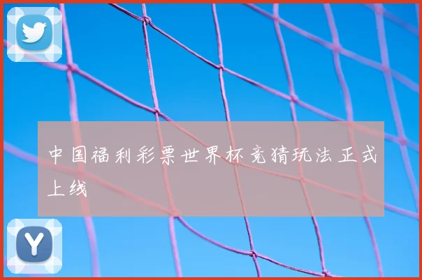 中国福利彩票世界杯竞猜玩法正式上线