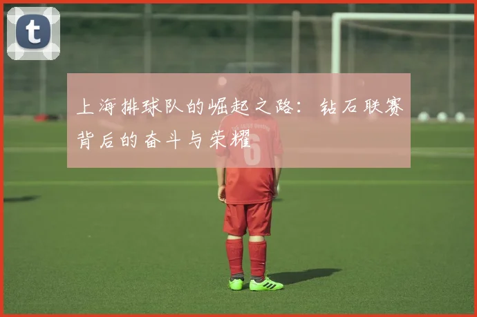 上海排球队的崛起之路：钻石联赛背后的奋斗与荣耀