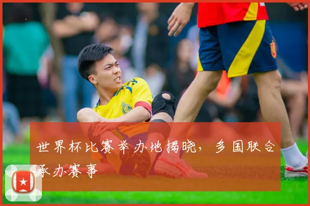 世界杯比赛举办地揭晓，多国联合承办赛事