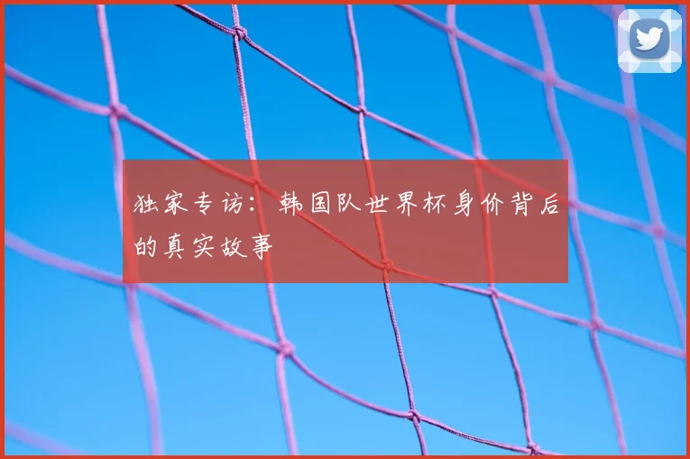独家专访:韩国队世界杯身价背后的真实故事