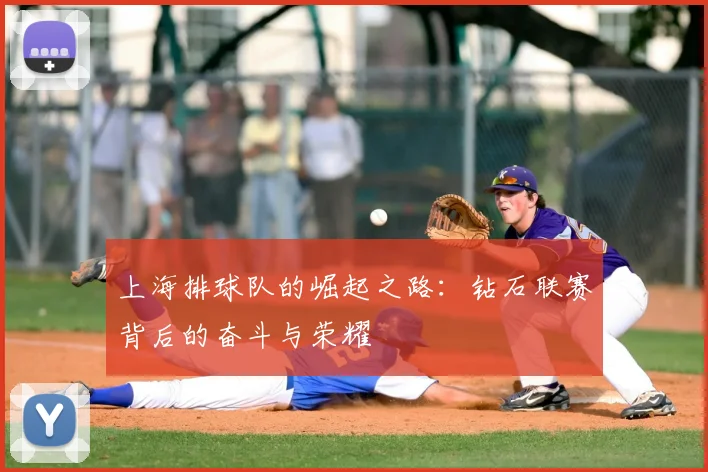 上海排球队的崛起之路:钻石联赛背后的奋斗与荣耀