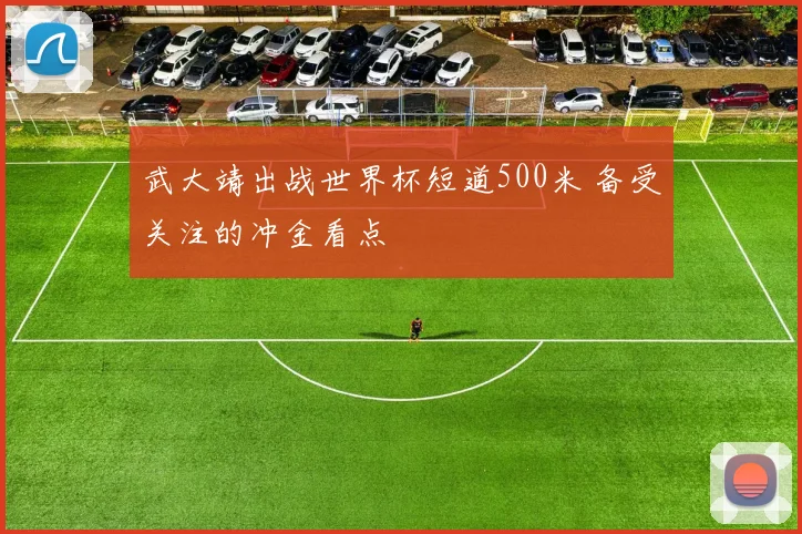 武大靖出战世界杯短道500米 备受关注的冲金看点