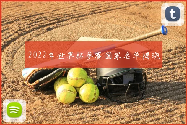 2022年世界杯参赛国家名单揭晓