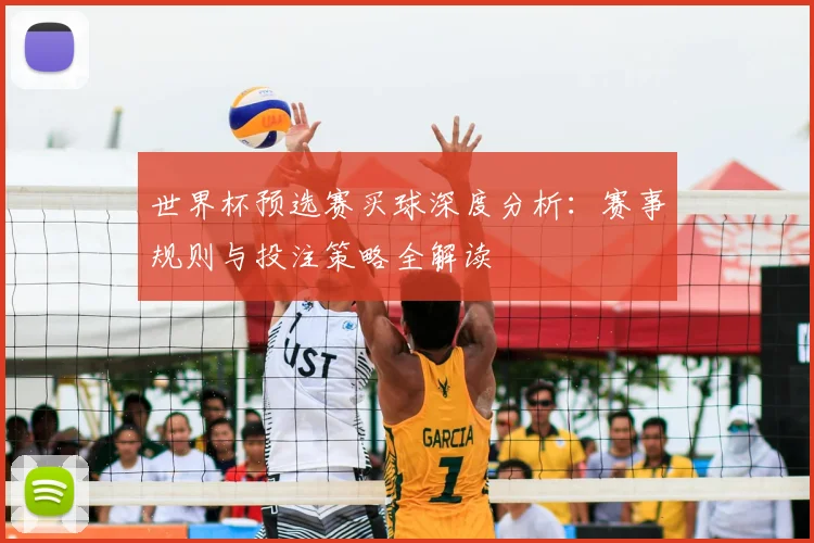 世界杯预选赛买球深度分析:赛事规则与投注策略全解读