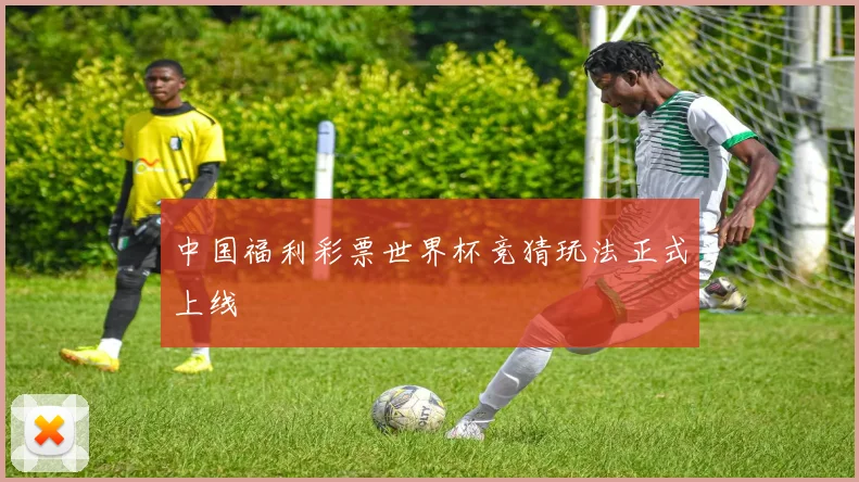 中国福利彩票世界杯竞猜玩法正式上线