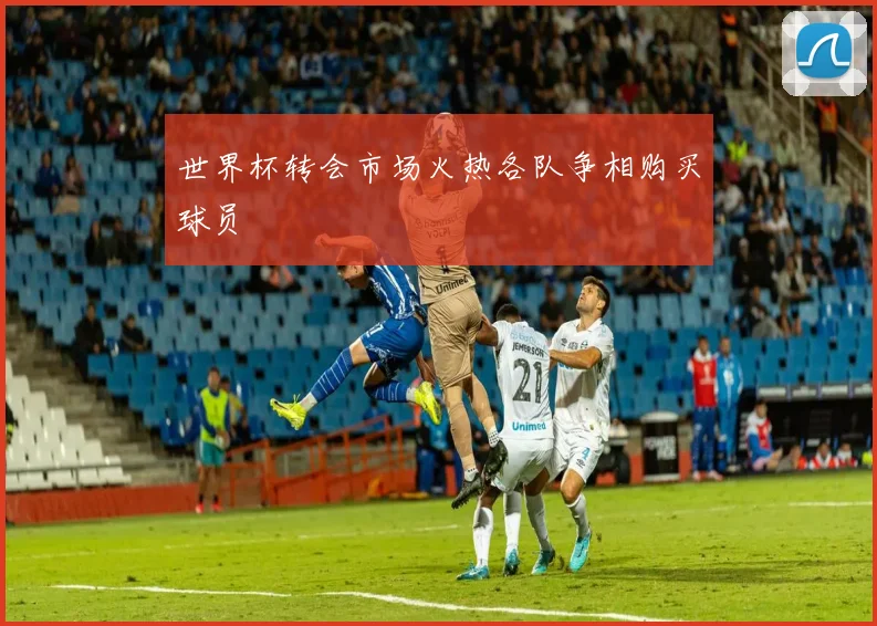 世界杯转会市场火热各队争相购买球员