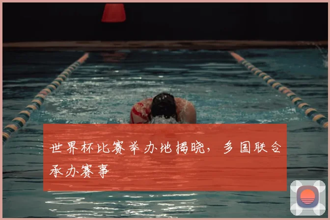 世界杯比赛举办地揭晓，多国联合承办赛事
